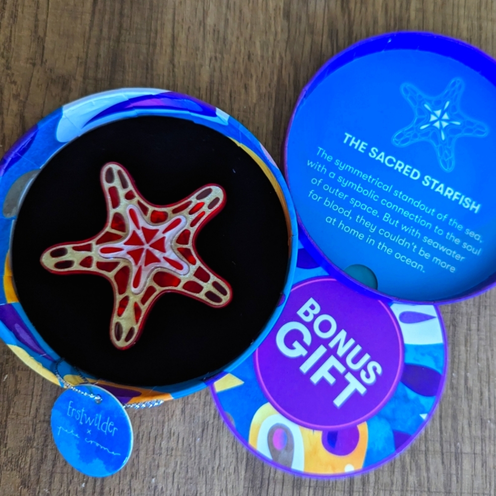 The Sacred Starfish Brooch Australian Sea Life Pete Cromer Erstwilder